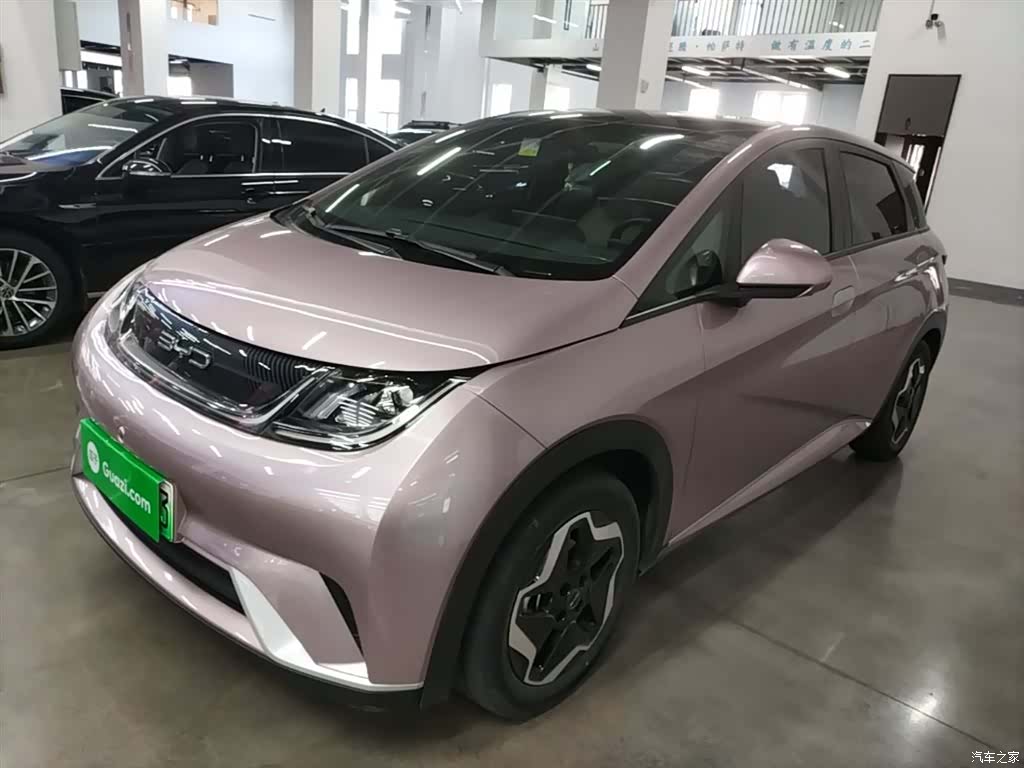 BYD Dolphin, 2023 1