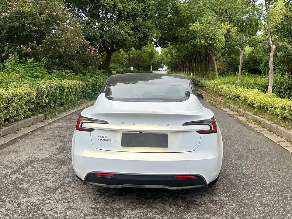 Tesla Model 3 Tesla Model 3