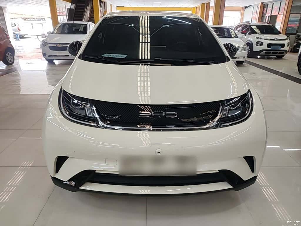 BYD Dolphin, 2024 3