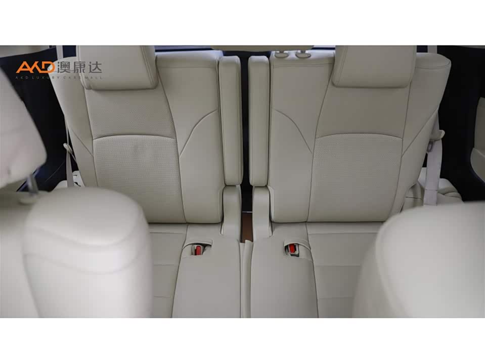 Toyota Elfa