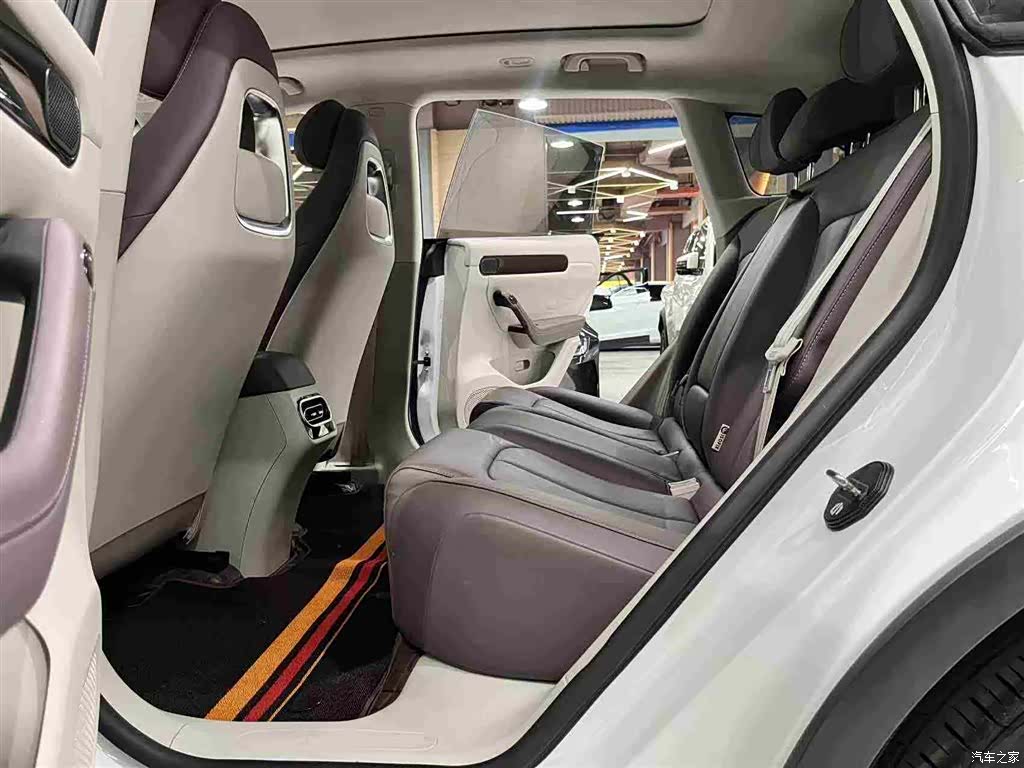 Leapmotor C11, 2023 11