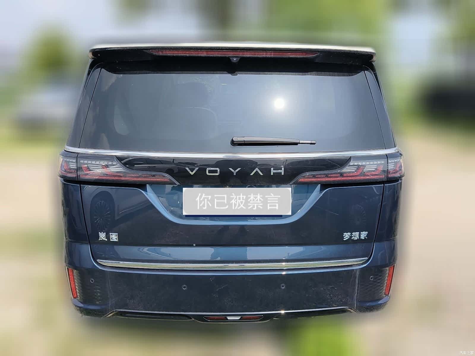 Voyah Dreamer, 2024 7