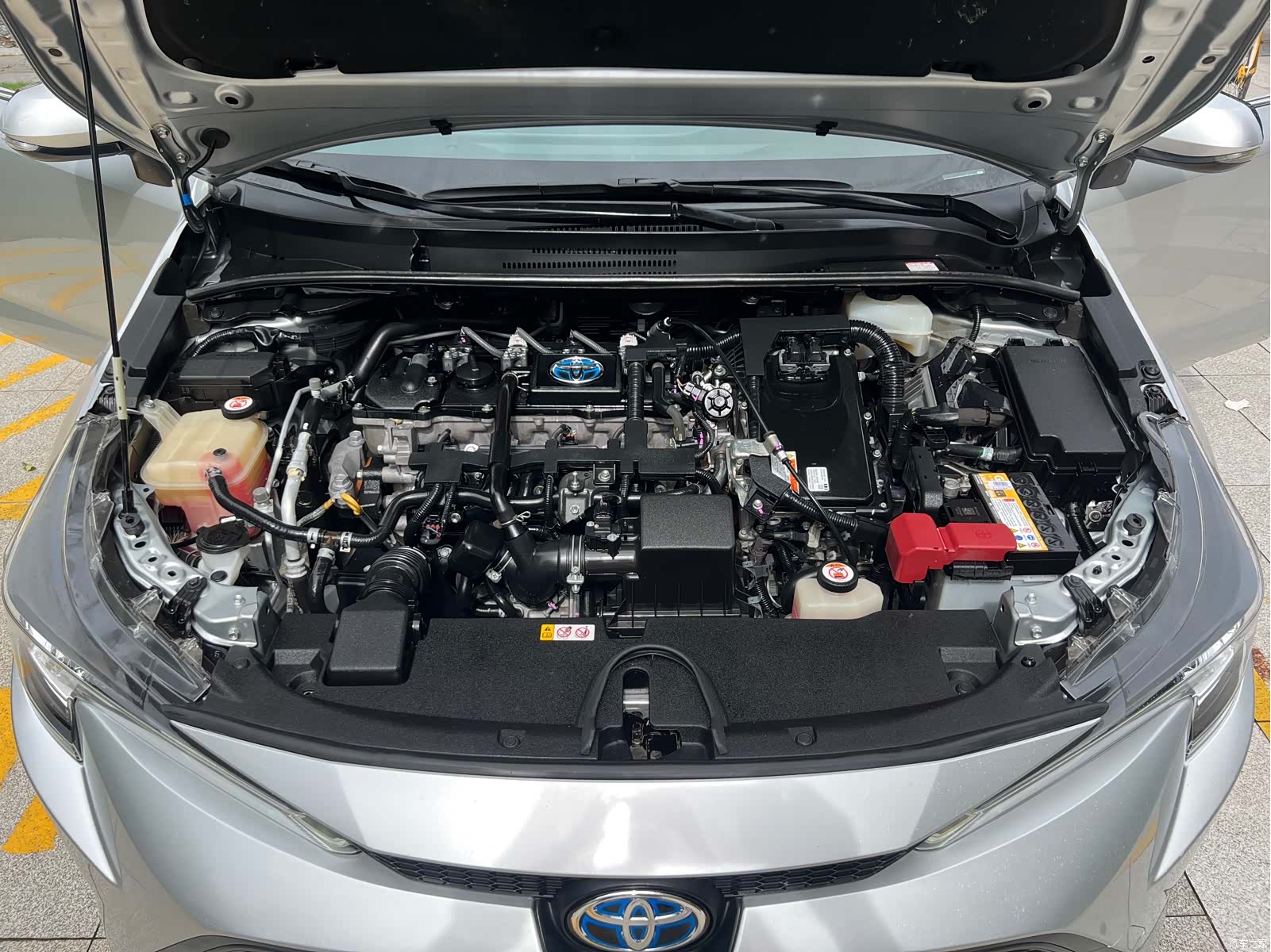 Toyota Levin, 2019 15