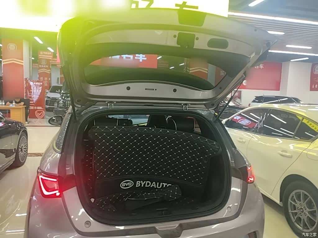 BYD Dolphin, 2022 19