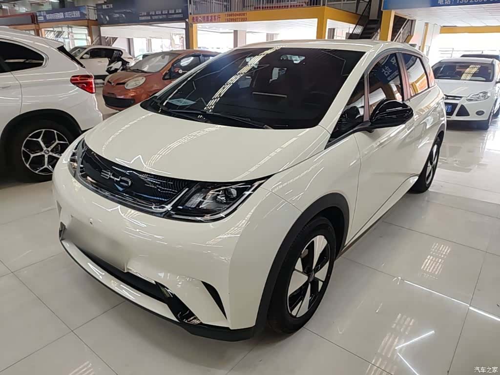 BYD Dolphin, 2024 1