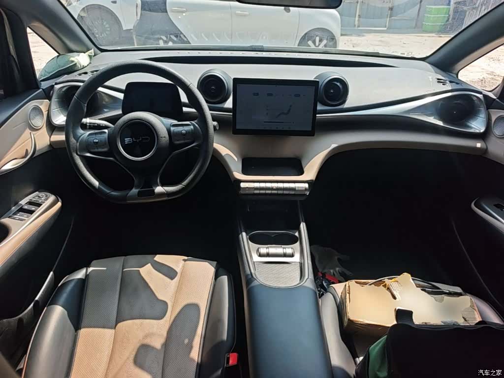 BYD Dolphin, 2024 10