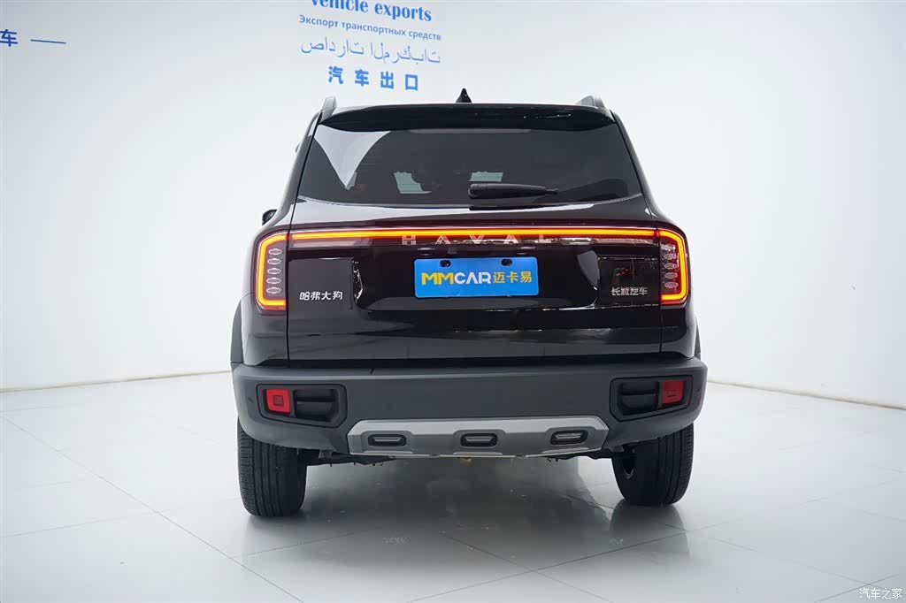 Haval Big Dog, 2025 11
