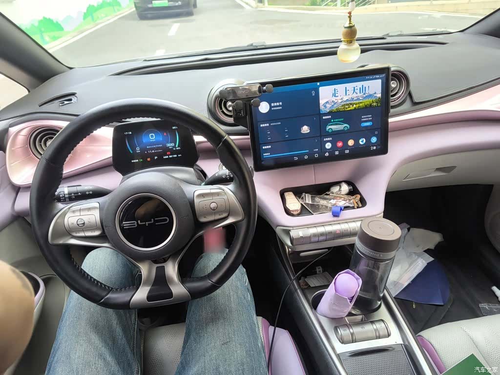 BYD Dolphin, 2023 13
