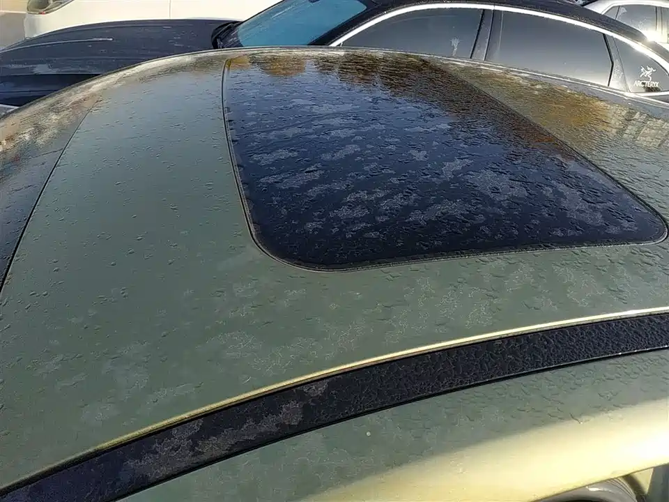 Trumpchi Shadow Leopard