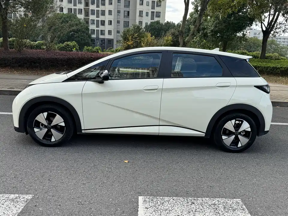 BYD dolphin