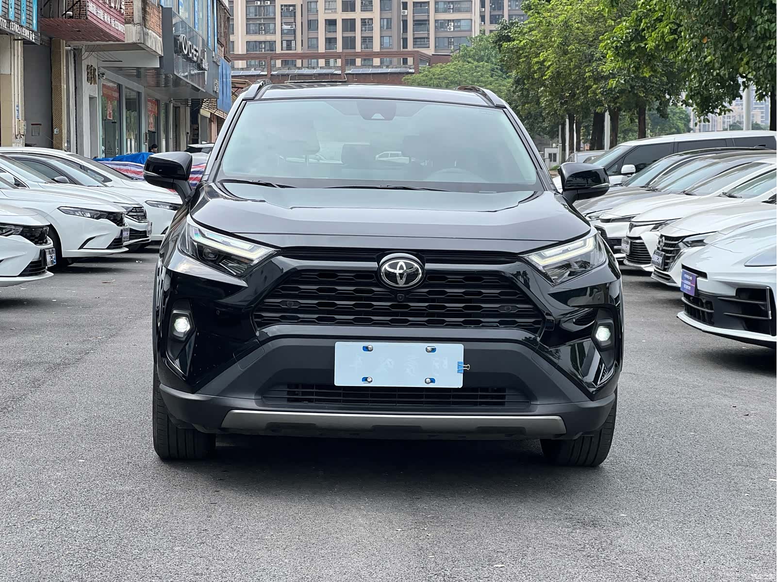 Toyota RAV4, 2024 2