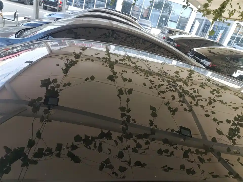 DEEPAL Dark blue S07