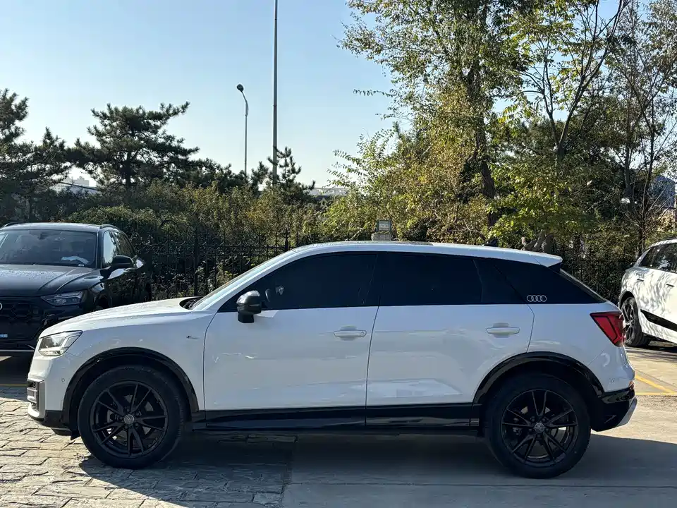 Audi Q2L