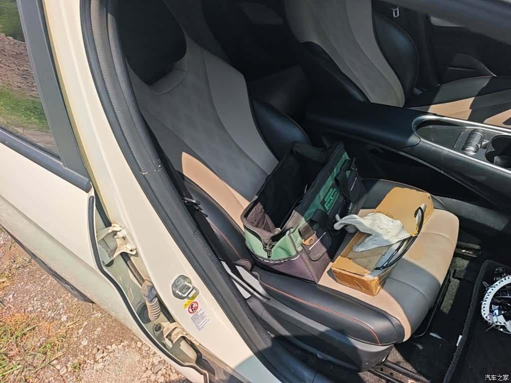 BYD Dolphin, 2024 25