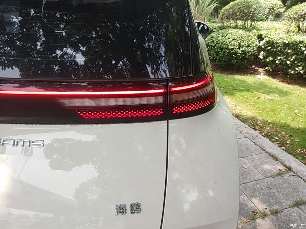 BYD Seagull, 2024 8