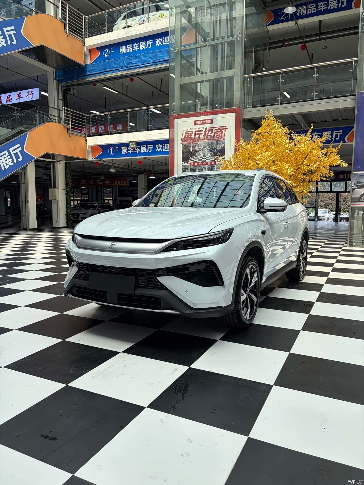 BYD Song, 2026 1