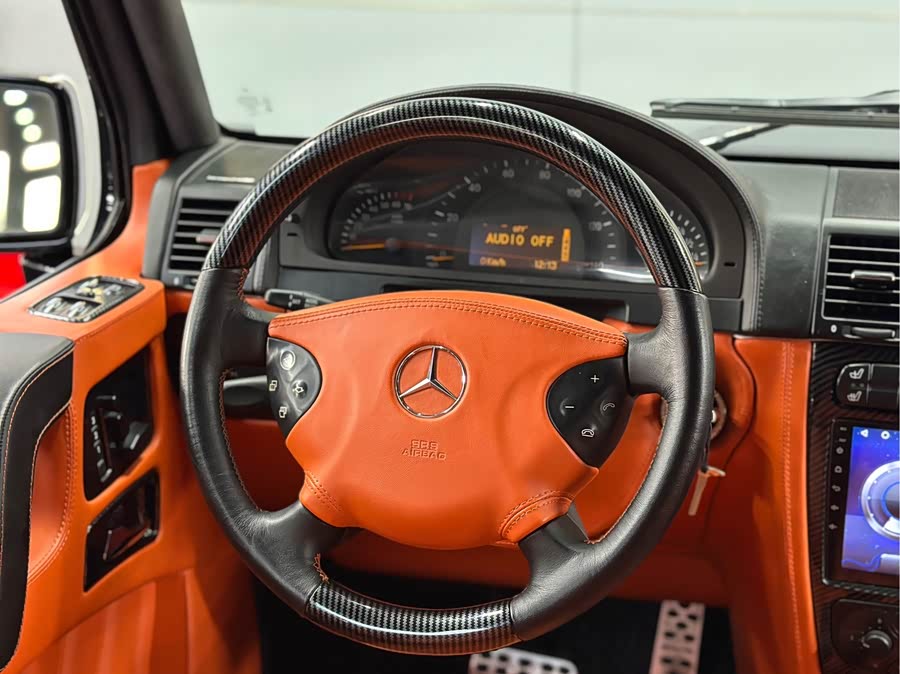 Mercedes-Benz G-Class 2004, фото 11