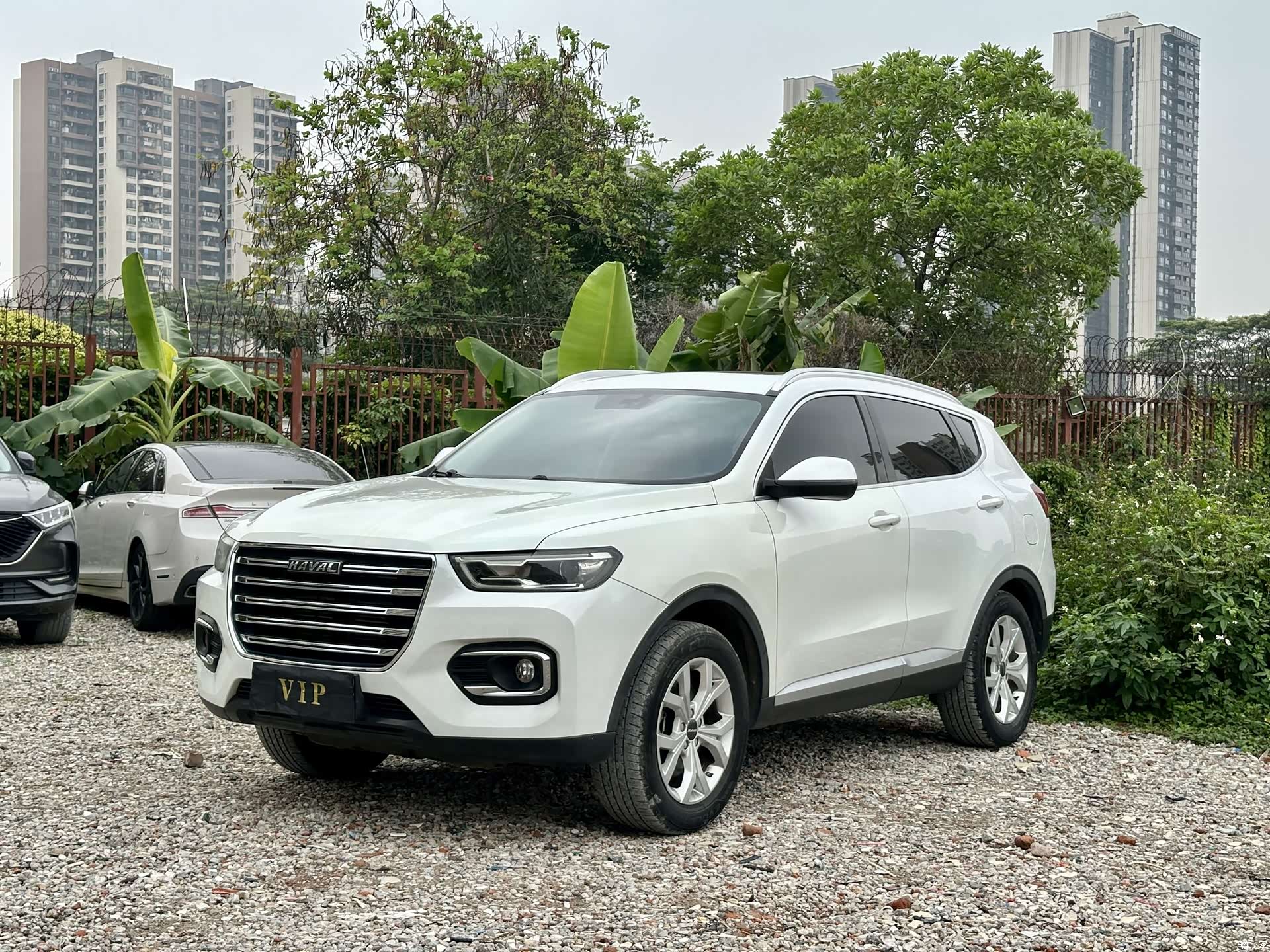 Haval H6, 2020 1