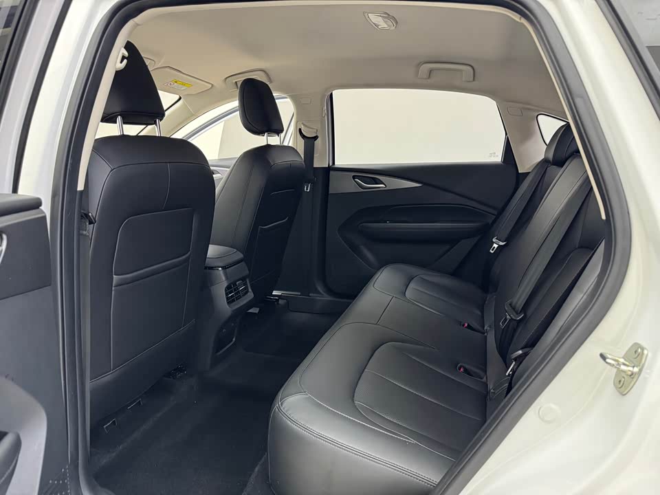 Wuling Wuling Starlight