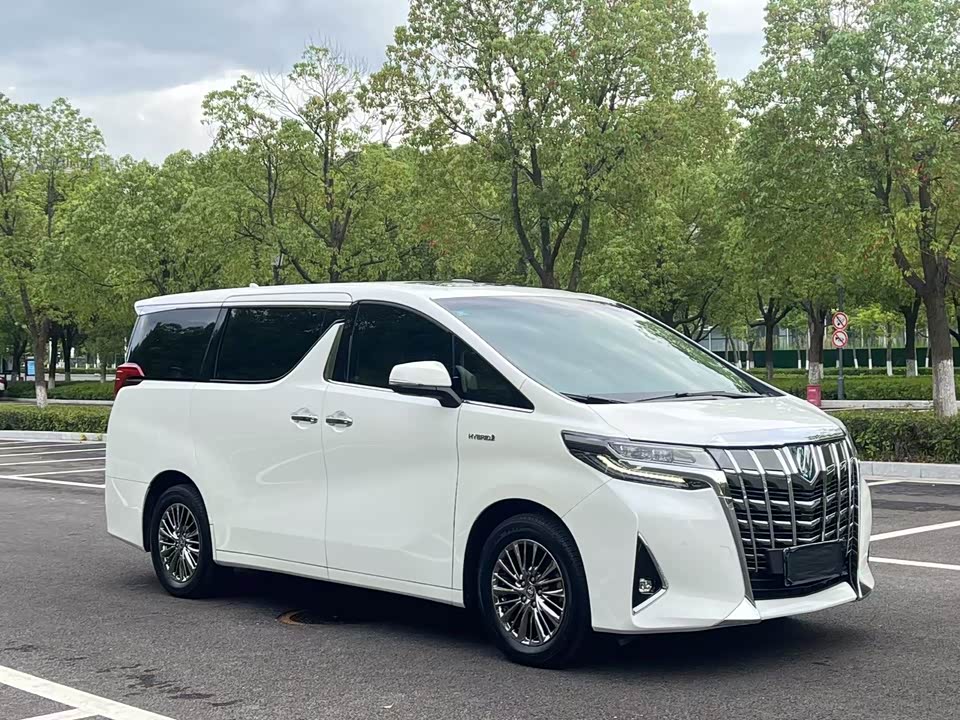 Toyota Elfa
