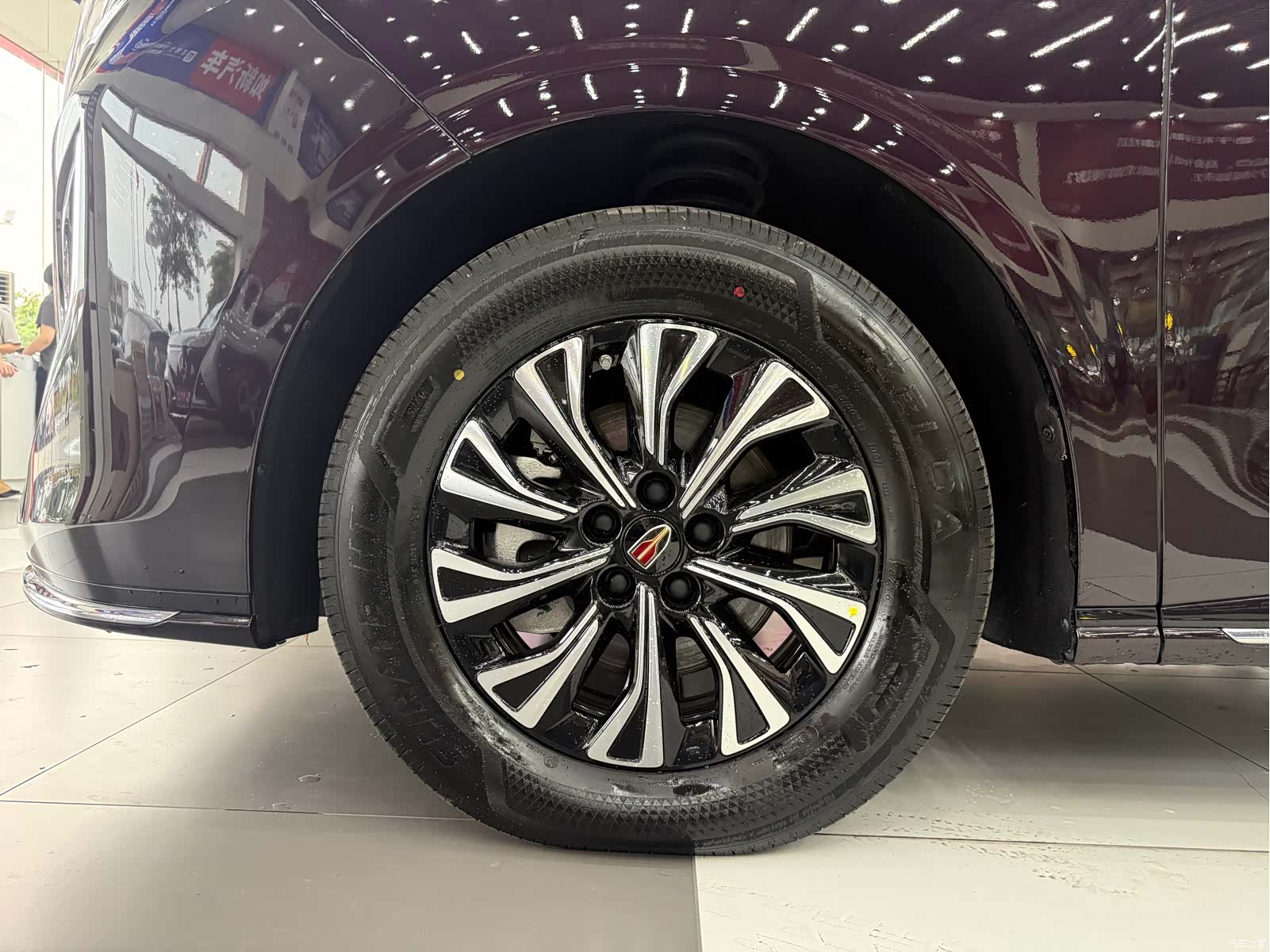 Hongqi HQ9, 2025 9