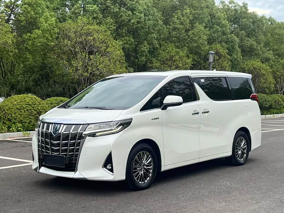 Toyota Elfa