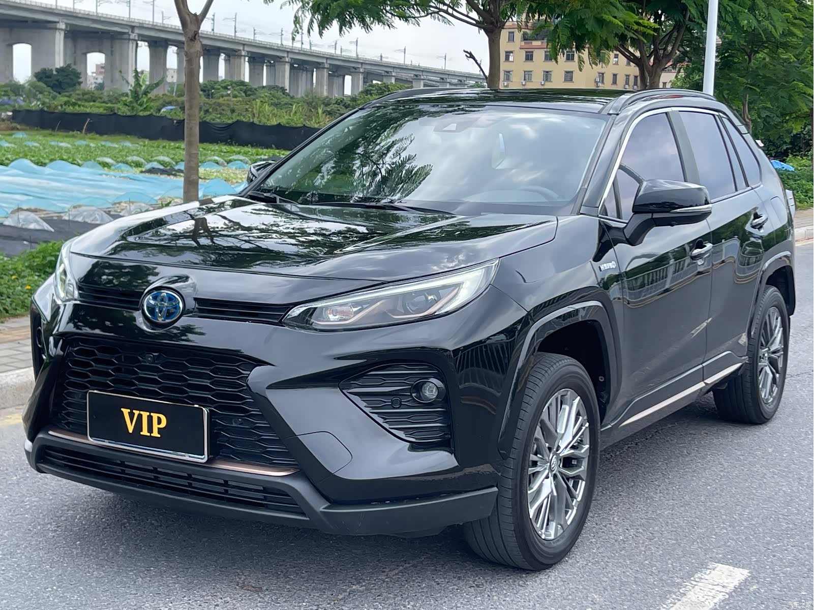 Toyota Wildlander, 2024 1
