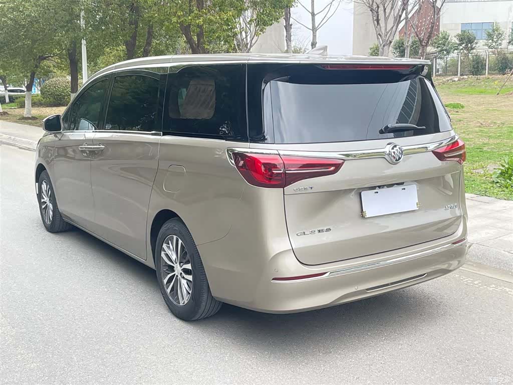 Buick GL8, 2022 все фото