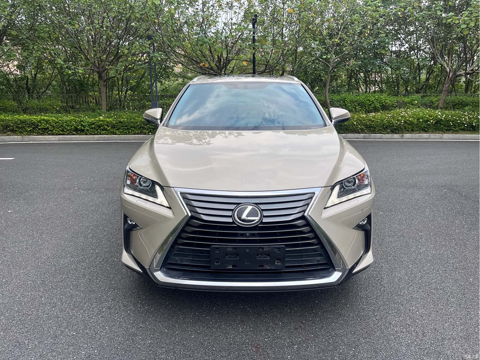 Lexus RX, 2017 2