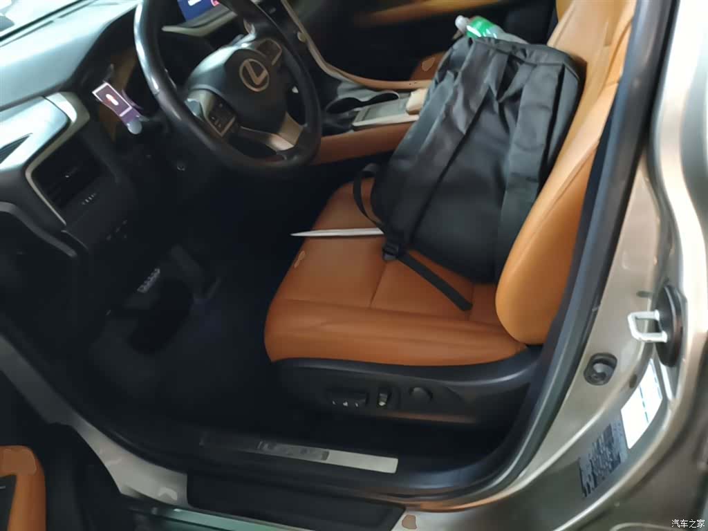 Lexus RX, 2020 15