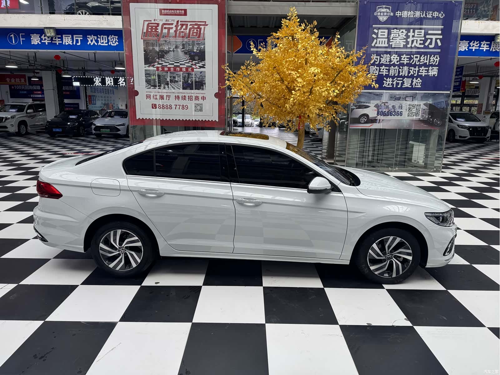Volkswagen Bora, 2023 все фото