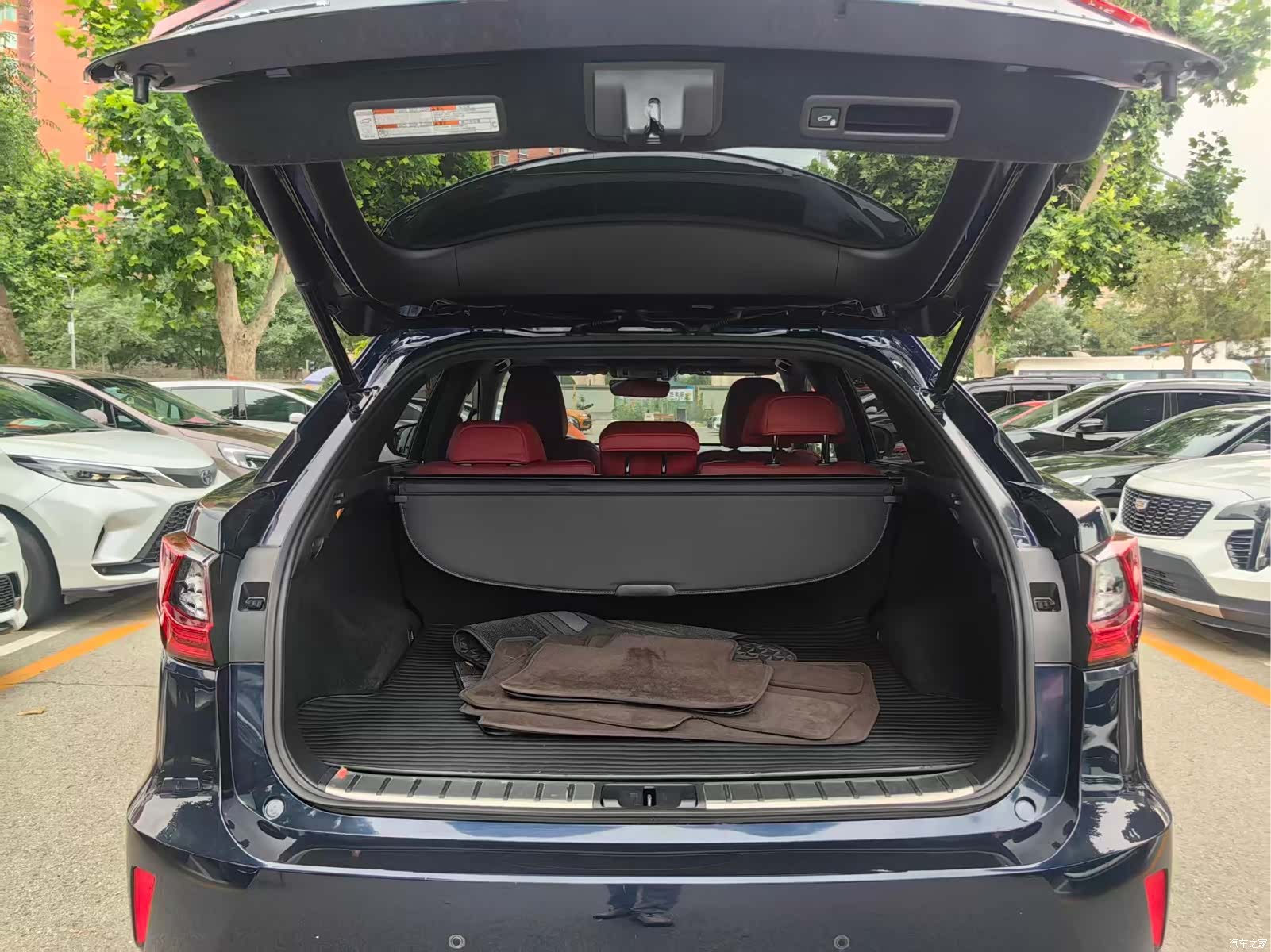 Lexus RX, 2019 14
