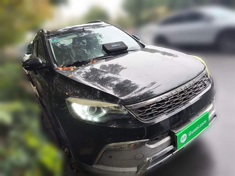 Leopaard Cheetah CS10