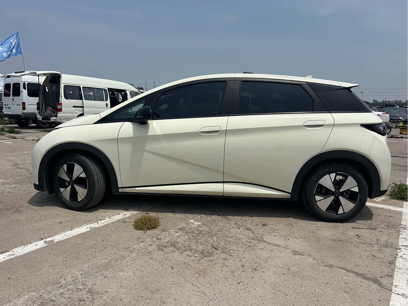 BYD Dolphin, 2023 4