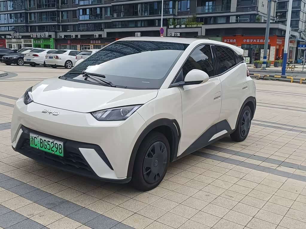 BYD Seagull