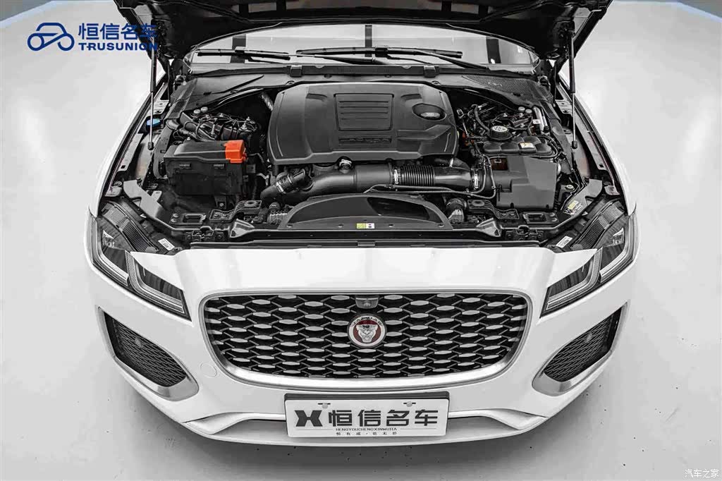 Land Rover P250, 2021 21