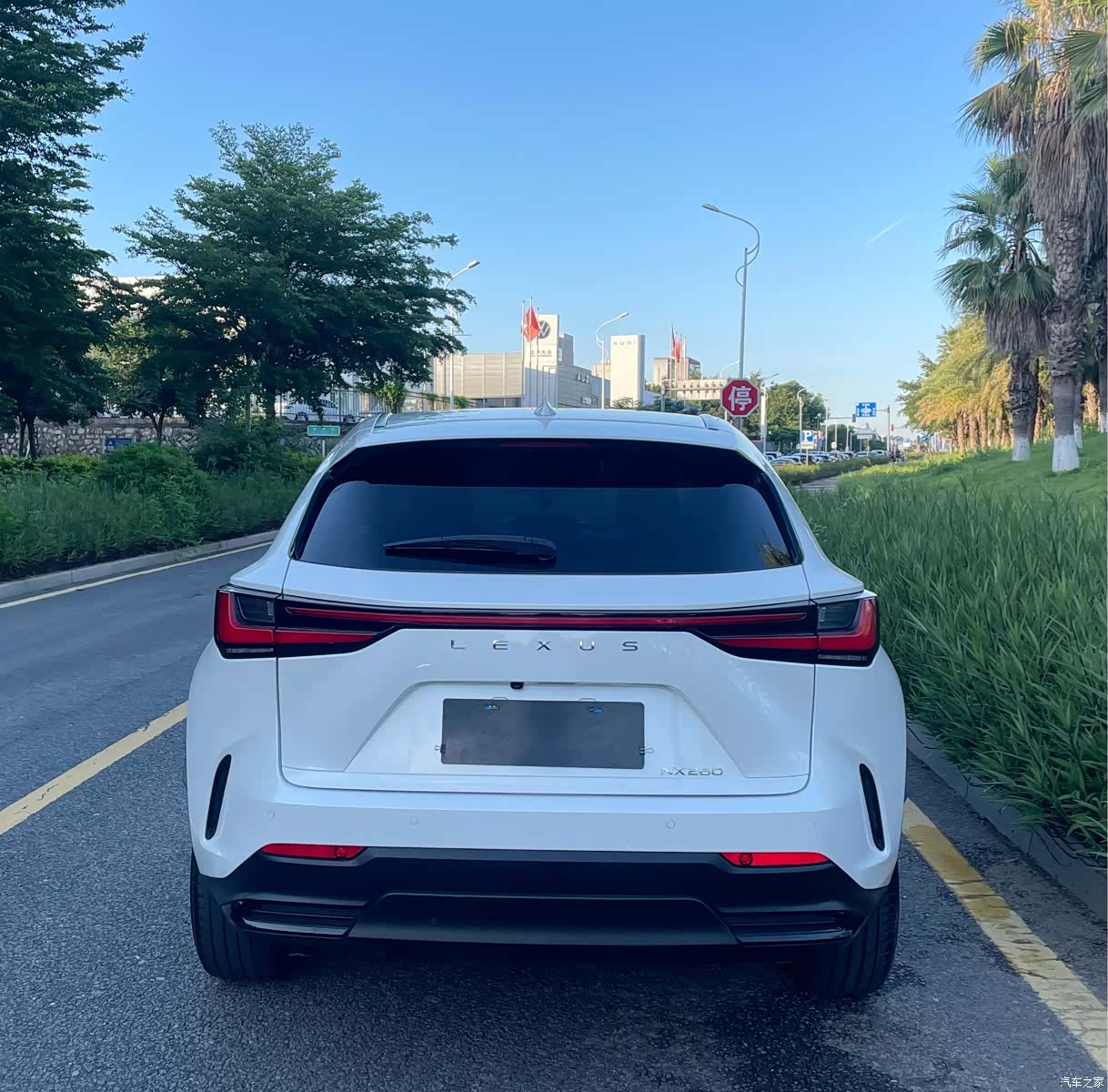 Lexus NX, 2022 4