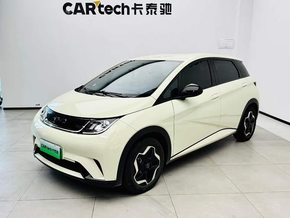 BYD dolphin