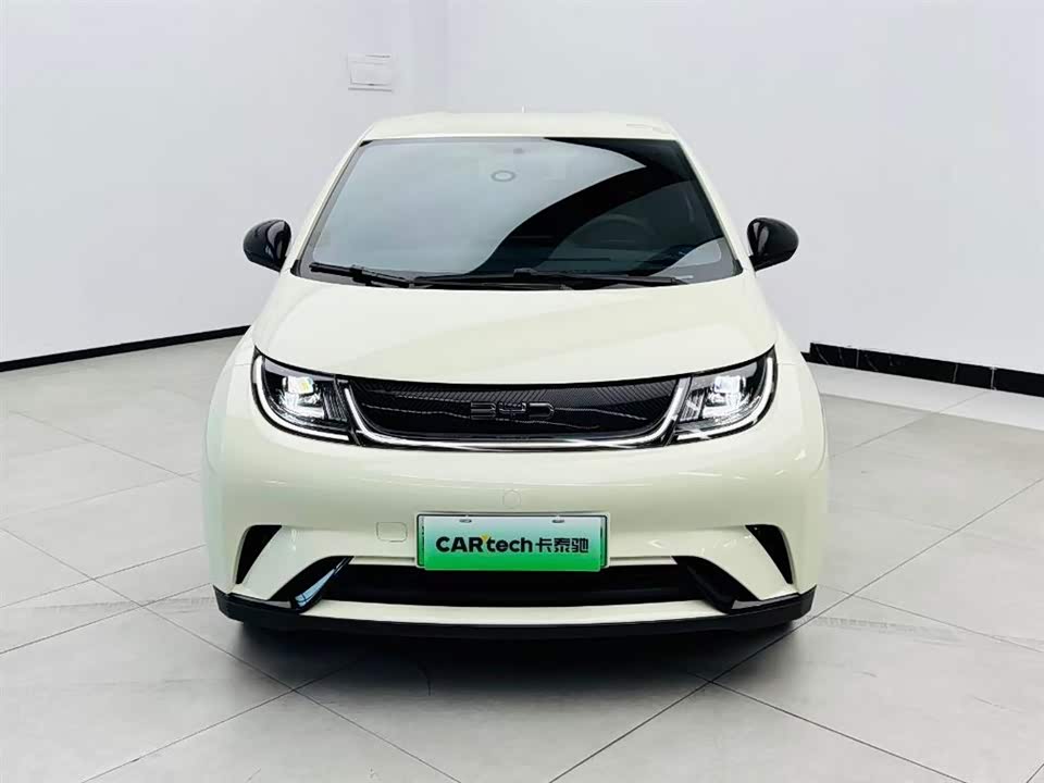 BYD dolphin