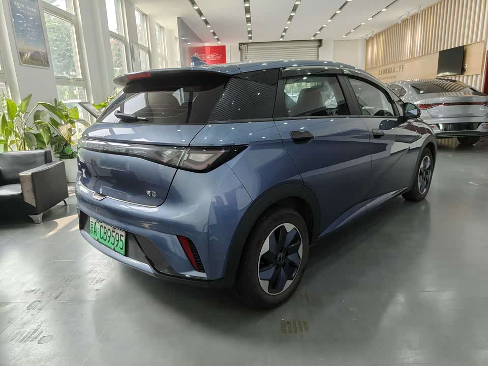 BYD dolphin BYD dolphin
