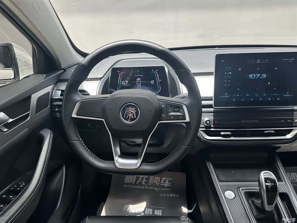 BYD Qin, 2019 10