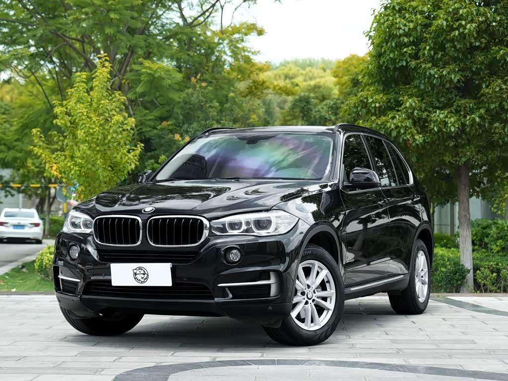 BMW X5 2014 xDrive35i Lead