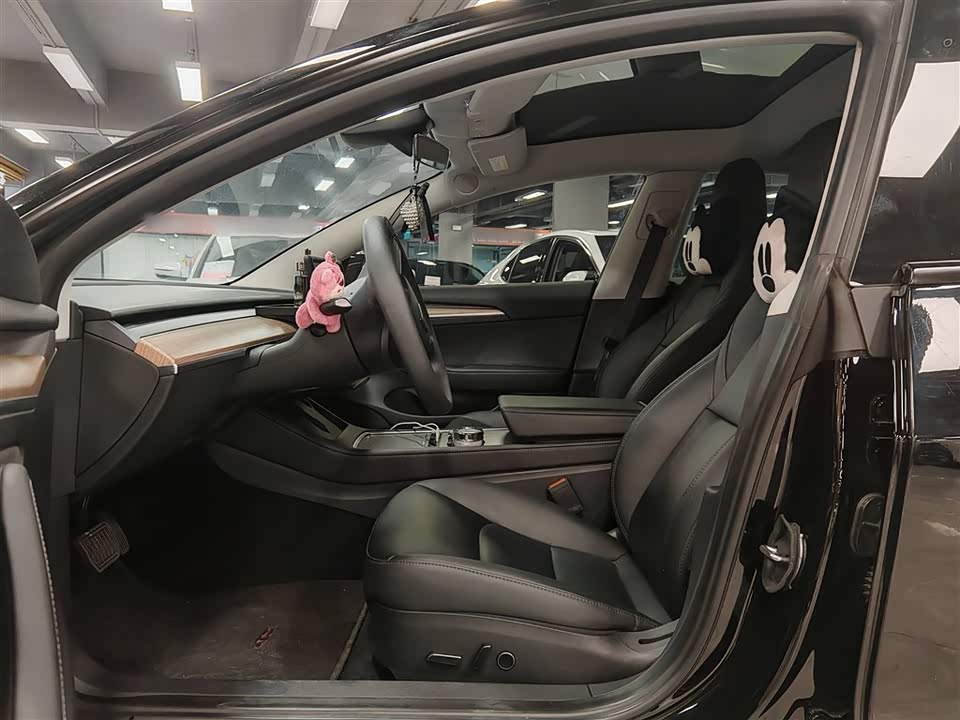 Tesla Model 3 Tesla Model 3