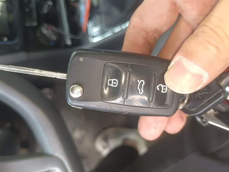 Volkswagen C-TREK Wei Collar