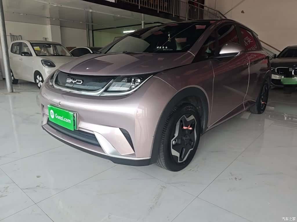BYD Dolphin, 2022 1