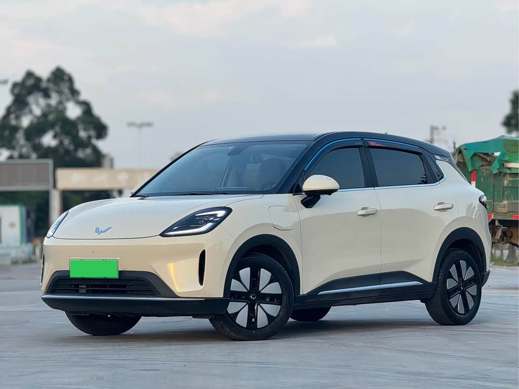Wuling BinguoS