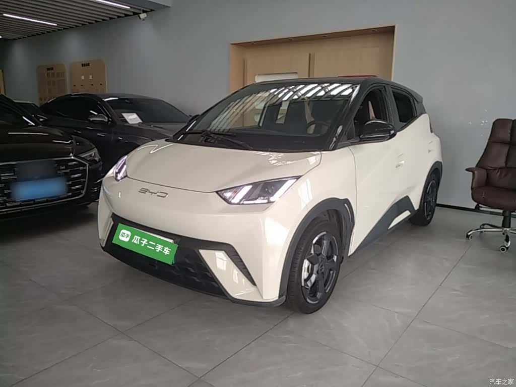 BYD Seagull, 2024 1