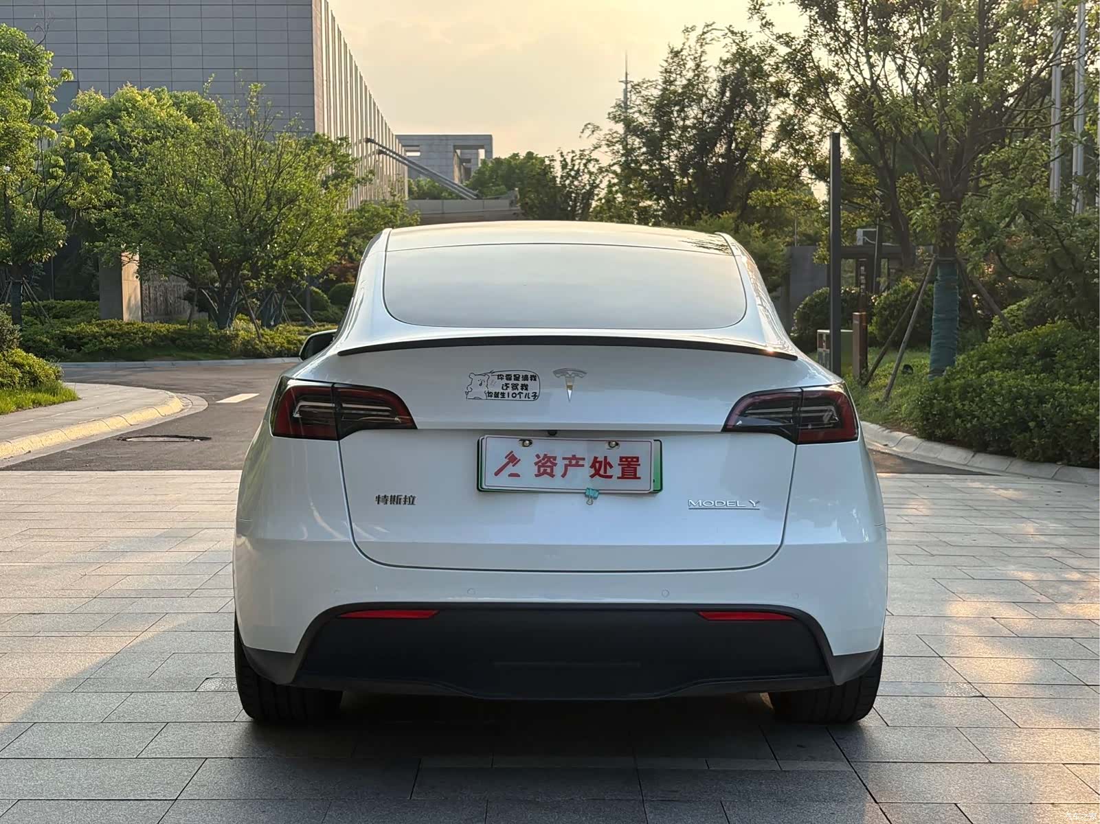 Tesla Model Y, 2022 все фото