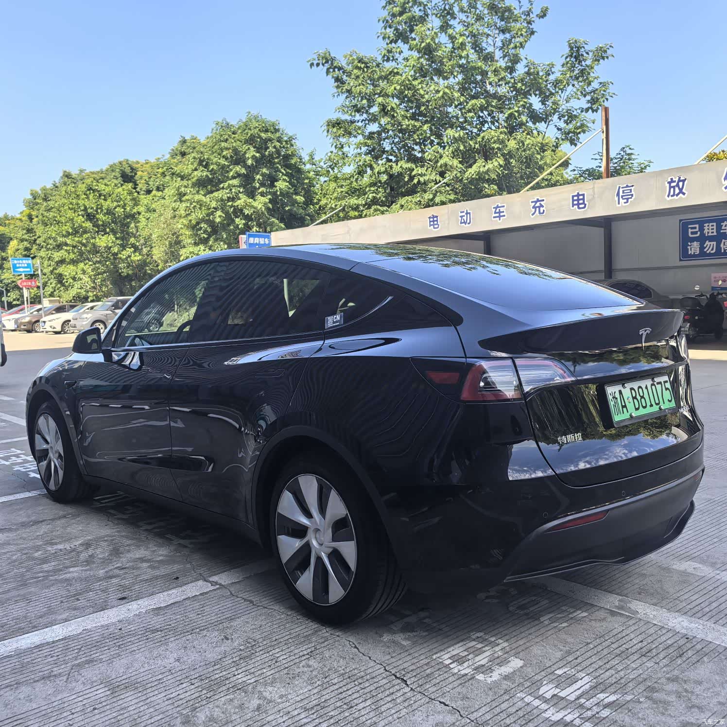Tesla Model Y, 2023 6