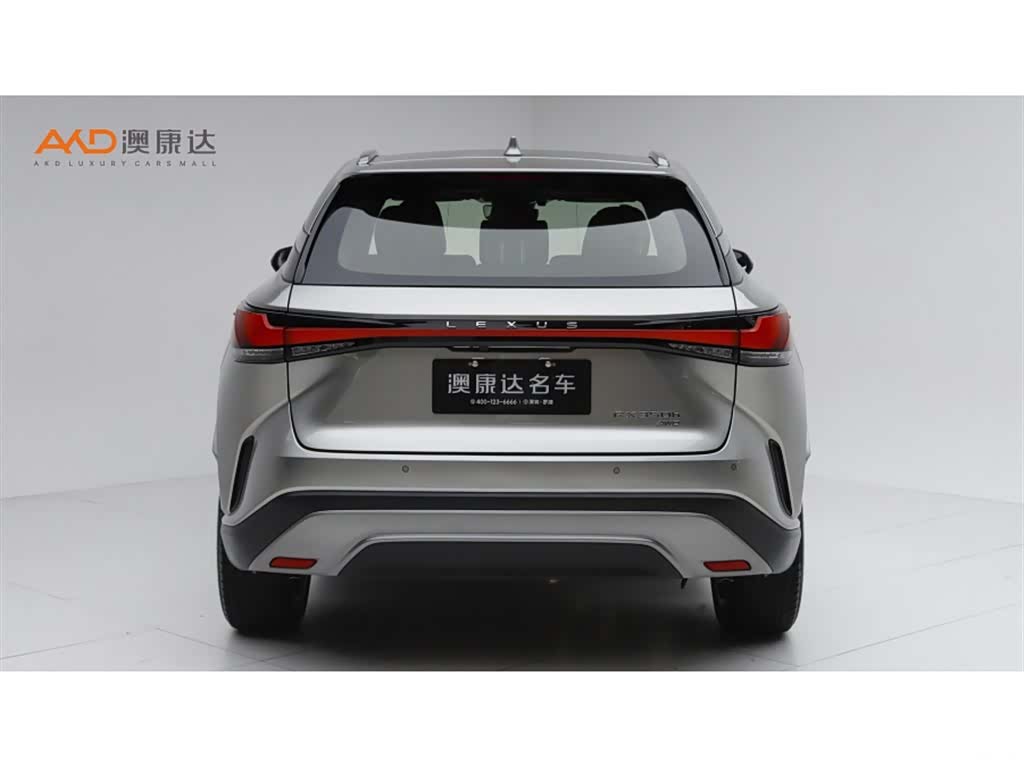 Lexus RX, 2023 4
